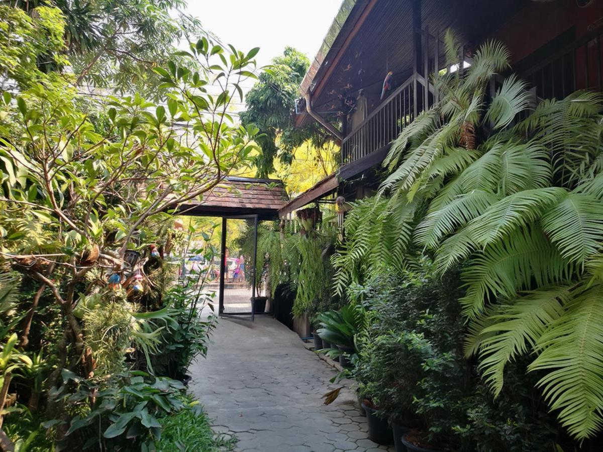 Hoh Guesthouse เชียงใหม่ ภายนอก รูปภาพ